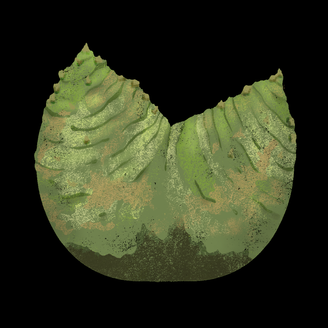 Fouquieria columnaris